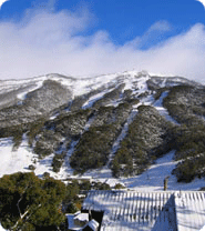 Image of Thredbo