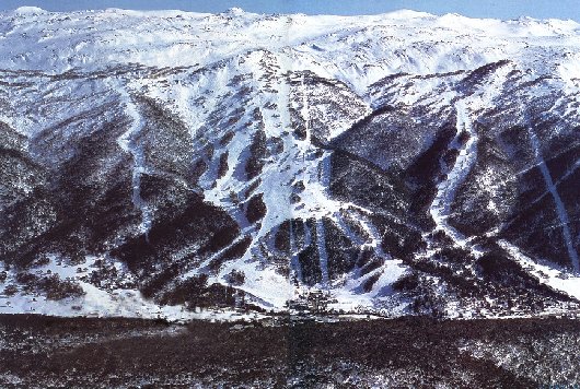 Ski Kaos Thredbo Aerial Shot